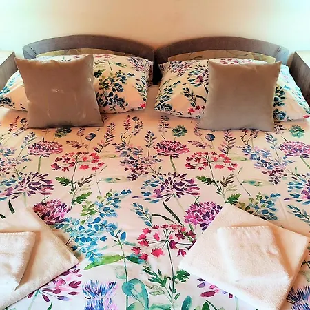 Guest house Unicum Vendeghaz