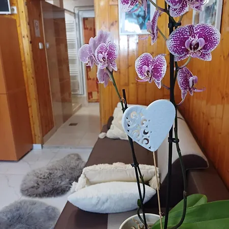 Unicum Vendeghaz Guest house Abadszalok