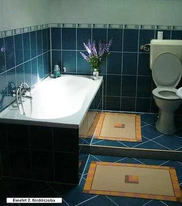 Гостевой дом Unicum Vendeghaz