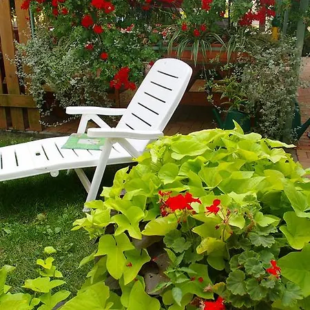 Гостевой дом Unicum Vendeghaz 3*